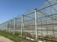 For SALE in HU 23,360 m2 Glasshouse, height 5,5m, leg height 4,5m