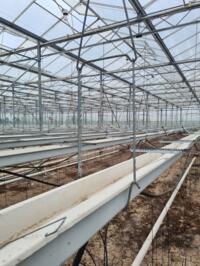  - Compleet aardbeien teeltsysteem 180 mm - 2500 m