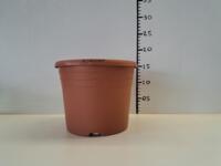 GLOEDNIEUWE partij terracotta 3 liter / 19 cm potten