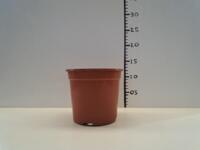 Zeer mooie partij terracotta 1,3 liter / 14 cm potten