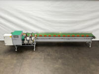 Bercomex - Bloemen verwerkingsmachine - BBS-R