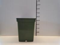 Grote partij mooie groene 5 liter / 18x18 cm vierkante potten