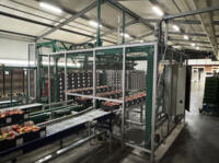 Koat - Compleet trostomaten verwerkings- & palletiseersysteem - 