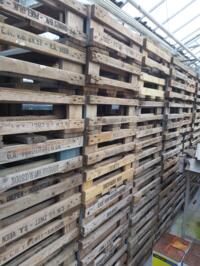 Pallets aangeboden, 270 stuks